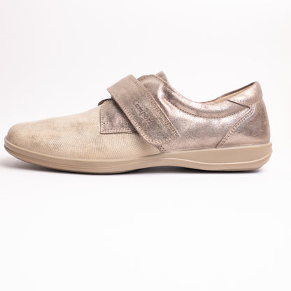 Camport 88003543 Taupe